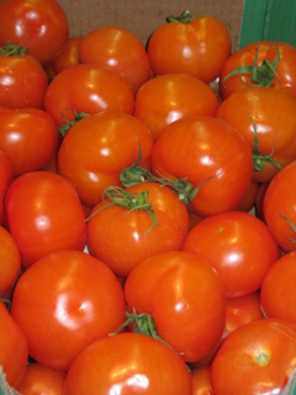 Produktfoto zu Tomaten rund