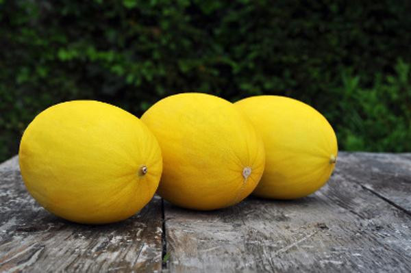 Produktfoto zu Melone