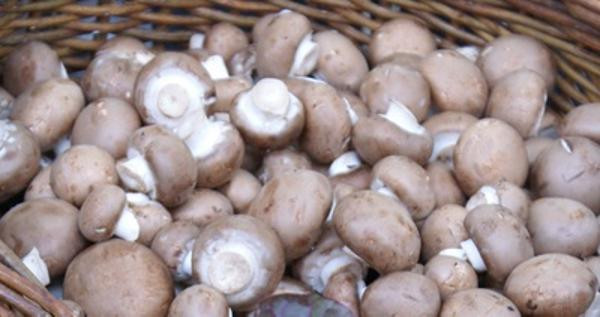 Produktfoto zu Champignons